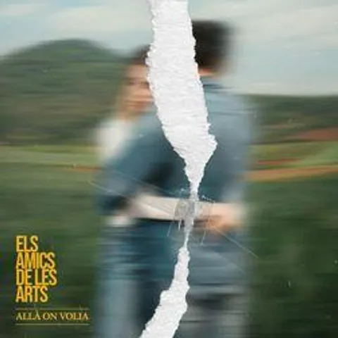 Els Amics de les Arts